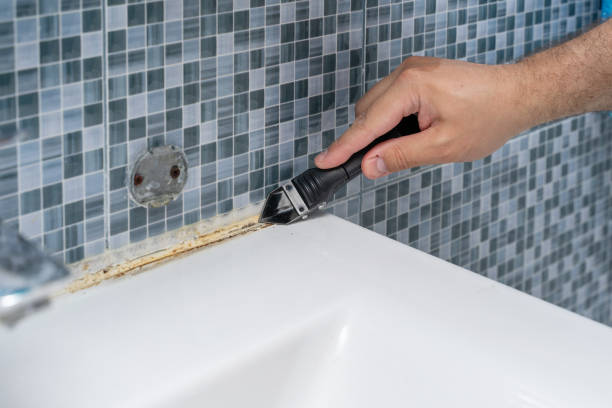 Trusted Jackson, MS Mold Remediation Experts